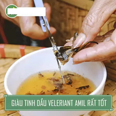Cà cuống loài côn trùng quý hiếm, đặc sản độc đáo của Việt Nam 4 Giá trị dinh dưỡng của cà cuống