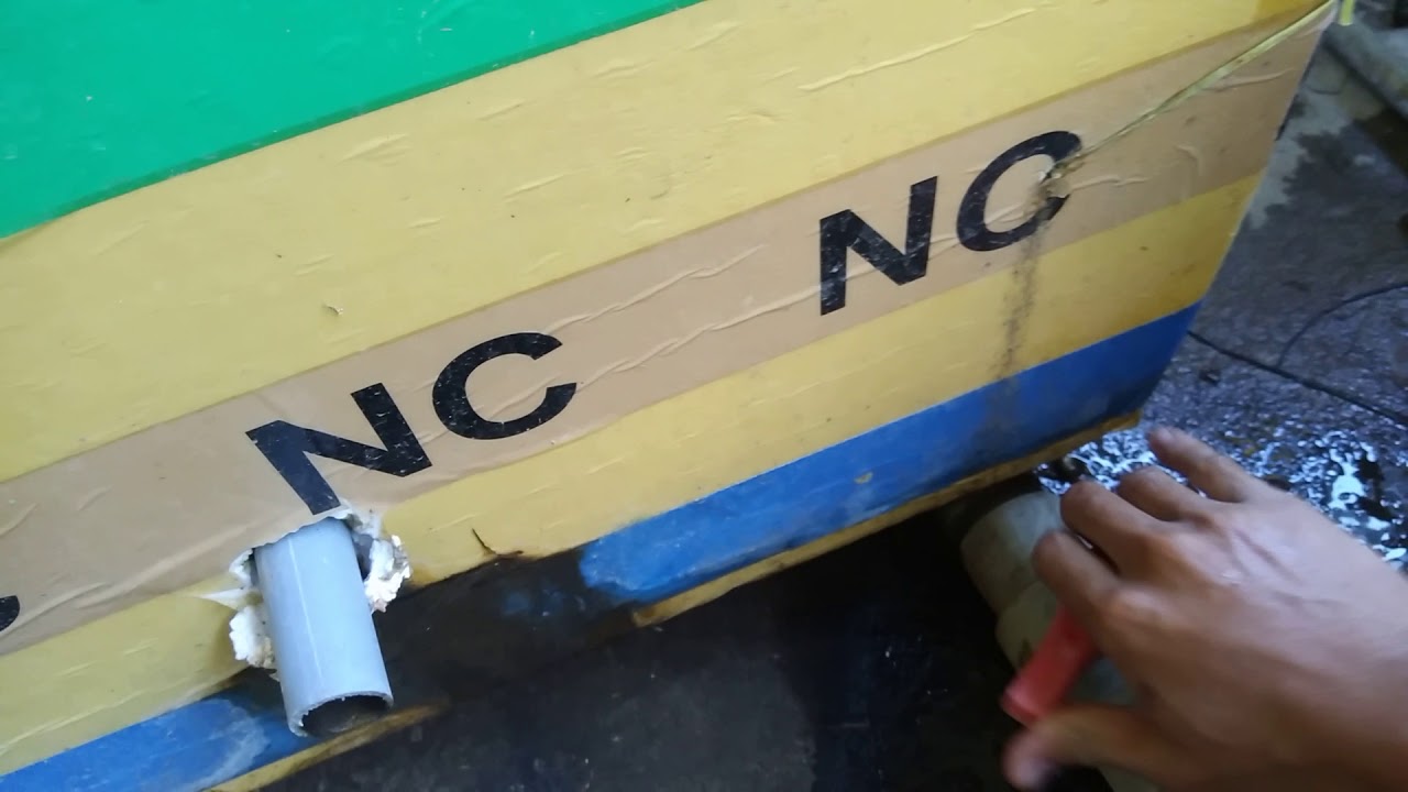 Quy trình nuôi cà cuống trong thùng xốp cho người mới 2 Mực nước và thay nước khi nuôi cà cuống trong thùng xốp