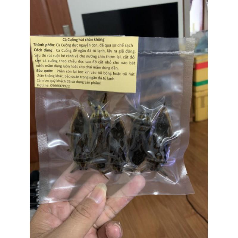 cà cuống hút chân không